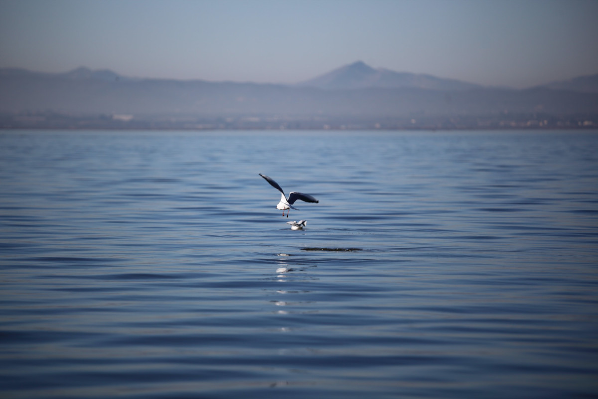 La Albufera de Valencia
