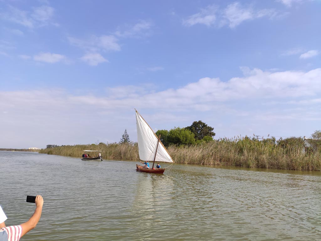 Vela Latina: regatas en la Albufera de Valencia